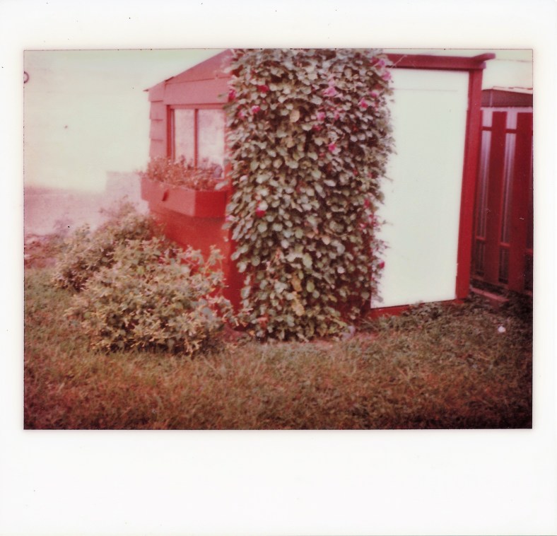 IMG_20170420_0009 (2)