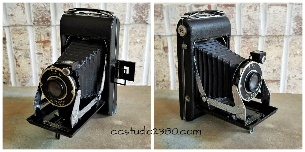 Kodak Vigilant Junior Logo