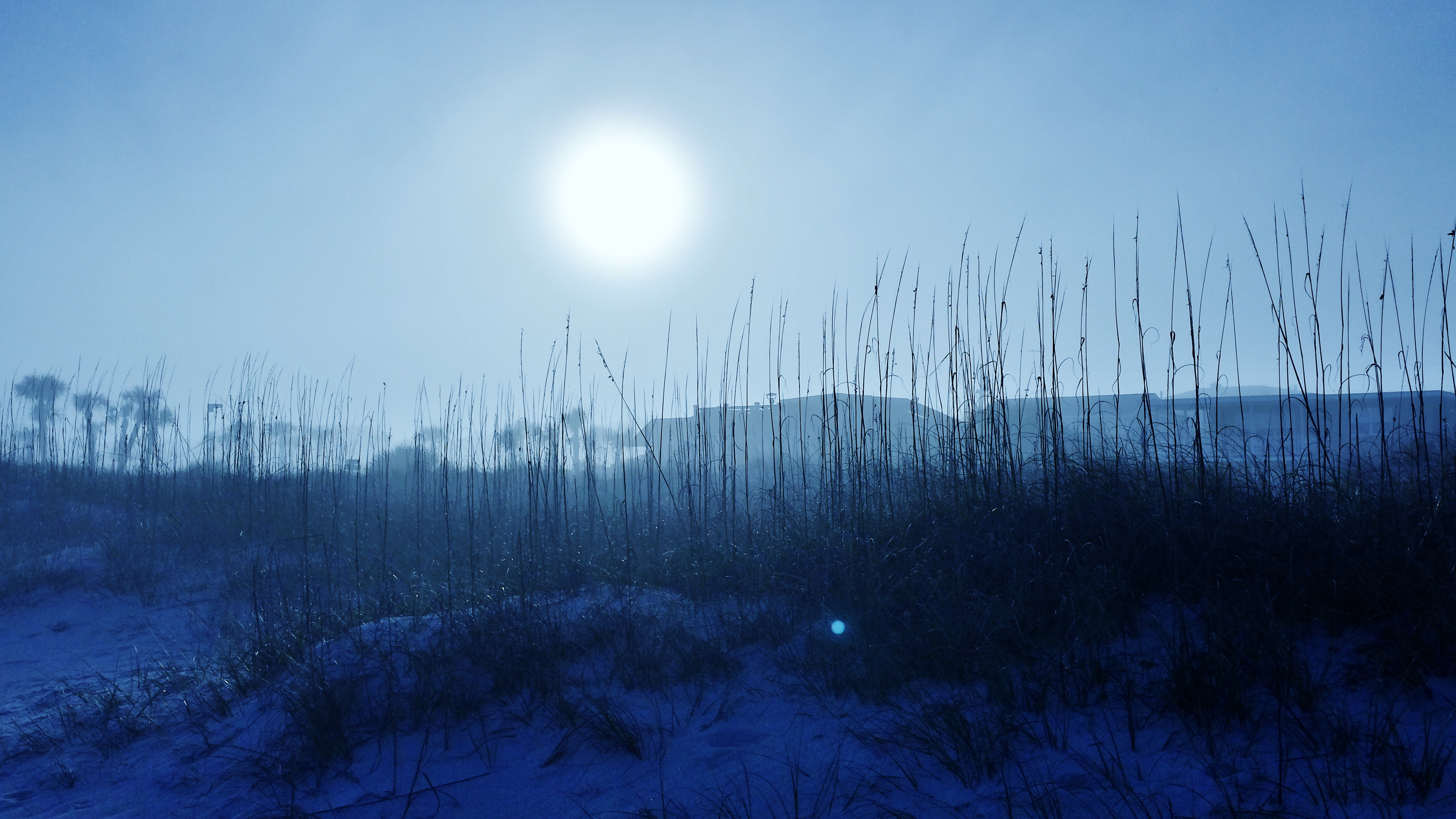 beach misty sunset 93014