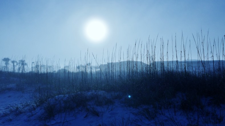 beach misty sunset 93014