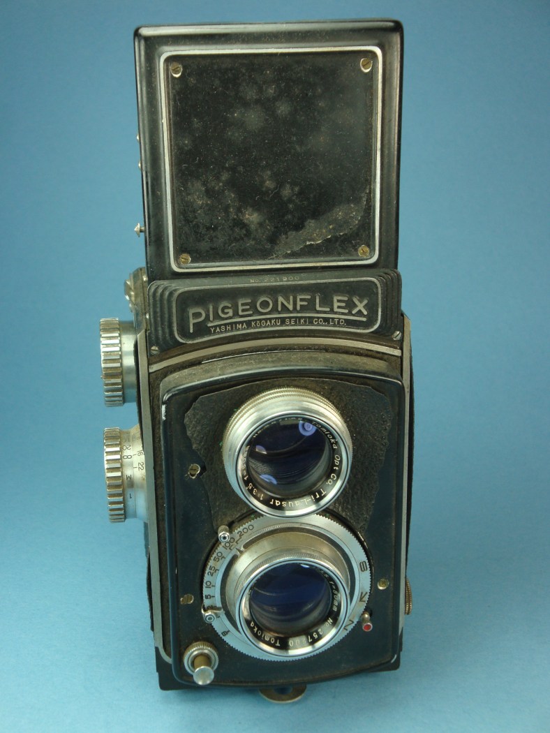 pigeonflex full dirt